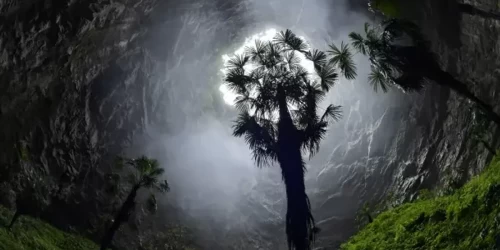 Sinkhole Innovation: China's Latest Discoveries in Heavenly Forests