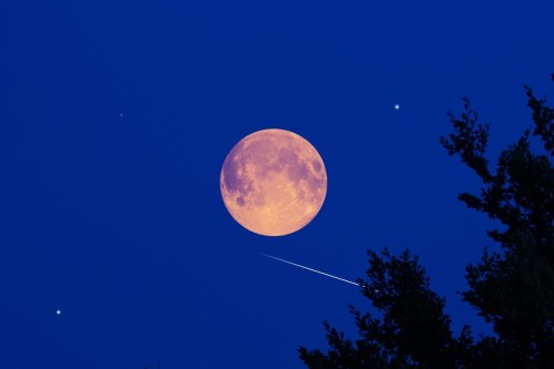 Leonid Meteoroid Shower: A Spectacular Display of Shooting Stars