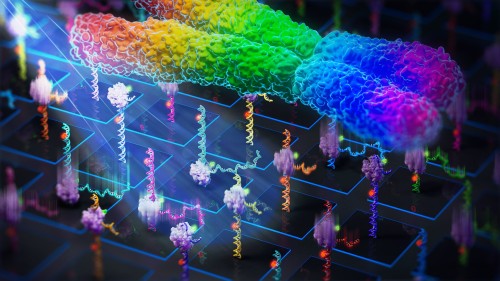 DNA Revolution: Latest Breakthrough in Single-Molecule Experimentation