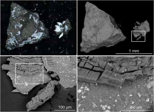 Unlocking the Water Origins of Asteroid Bennu