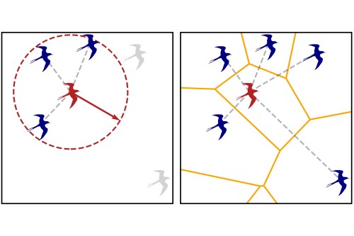 Physics Innovations in Biological Systems: Latest Insights on Collective Movement