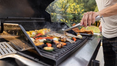 Traeger Grills Security Vulnerabilities: Latest Updates to Keep Your Cookout Safe