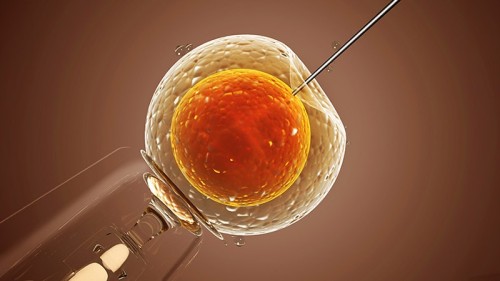 Unlock the Genetics Tips for Healthy Embryo Screening