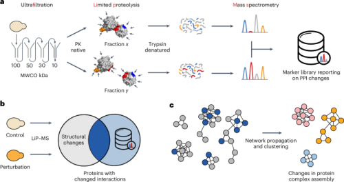 Protein Complex Analysis in Yeast Cells: Latest Breakthrough in Protein-Protein Interaction Studies