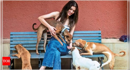 Celebrities Leading Innovation in Pet Adoption Trends