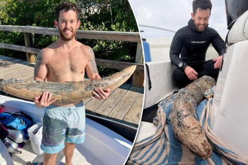 Florida Diver Discovers Ancient Mastodon Tusk While Fossil Hunting Off Coast