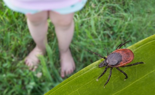 Tick-borne Disease Wellness: Discover the WELV Solution in China