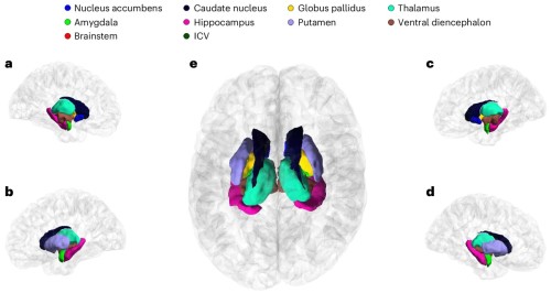 Genetic Tips for Brain Wellness and Disease Prevention