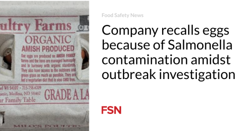 Salmonella Outbreak Insights: Market Strategies for Egg Safety