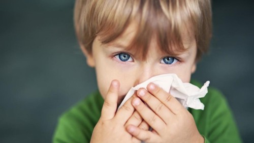 Combat Influenza: Tips for Healthy Living