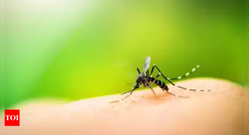 Preventive Healthcare Tips to Combat Dengue Fever in Tamil Nadu