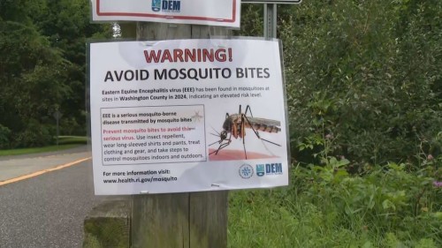 Mosquito Prevention Tips for Healthy Wellness in Rhode Island