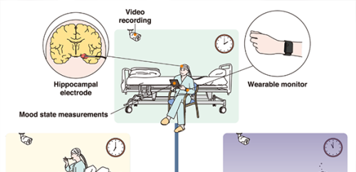 Unveiling the Link Between Brain Activity and Mind-Wandering