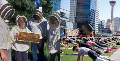 Discover the Latest Calgary Events: Yoga, Bees, and More