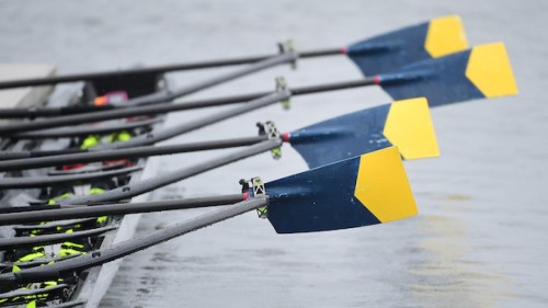 2024 NCAA DI Rowing Championship: Schedule, Preview, and Results