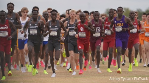 Championship Rivals to Watch Out For | NC D1 Cross Country Championships Preview