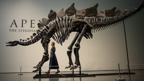 Innovation in Paleontology: Billionaire's Purchase of Stegosaurus Fossil at Sotheby's