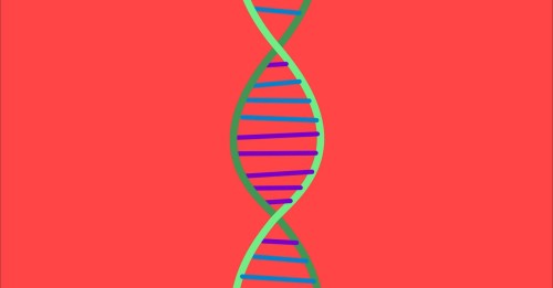 Genetics Unraveled: Tips for Understanding the Mystery of Schizophrenia