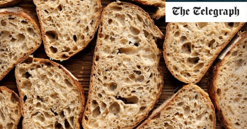 Discover the Wellness Benefits of Sourdough Bread for a Healthy Diet