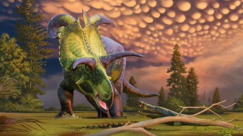 Lokiceratops: Unveiling a New Dinosaur Species in Montana