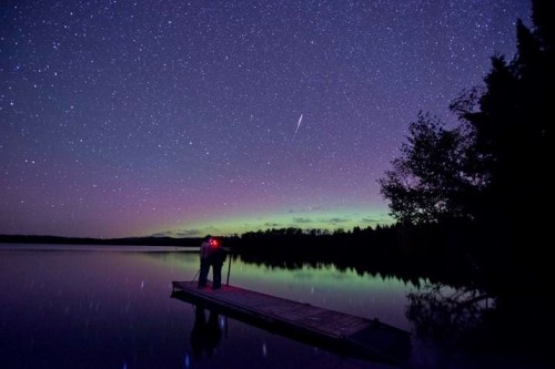 Summer Sky Highlights 2023-2024: Meteor Showers and Planetary Sightings