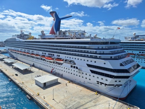 Carnival Corporation's Market Success and Growth Strategy