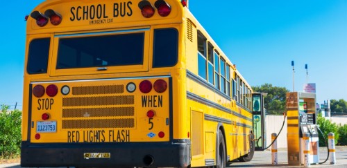 Electric School Bus Growth and State Strategy for a Sustainable Future